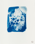 Rana Pipa - der Keim der Dinge #2, 2023

Direktbelichtung von Seifenblasenschaum / Cyanotypie auf Baumwoll-Bütte, 20,5 x 16,5 cm, gerahmt
gestempelt, rückseitig signiert und beschriftet

Ausrufpreis: 200,-