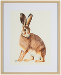 Weinviertler Hase, 2025

Farbstifte auf Papier, 40 x 30 cm (im Rahmen 52 x 42 cm) 
signiert und datiert

Ausrufpreis: 260,-